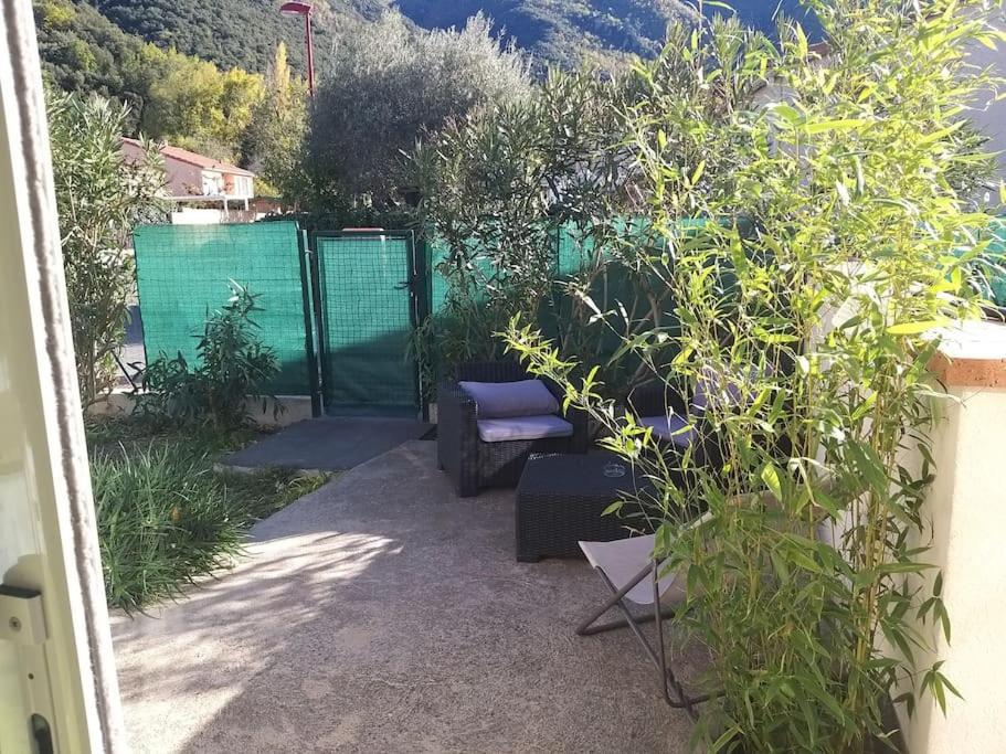 Rez De Jardin Cosy Avec Terrasse Fleurie Daire Arles-sur-Tech Dış mekan fotoğraf
